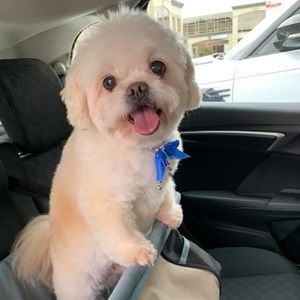 Meet your Posher, Jeffrey